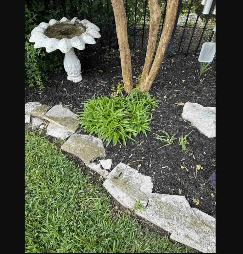 بازی فکری: کسانی که مار پنهان را در ۹ ثانیه می‌بینند، ضریب هوشی ۱۳۰به بالا دارند!