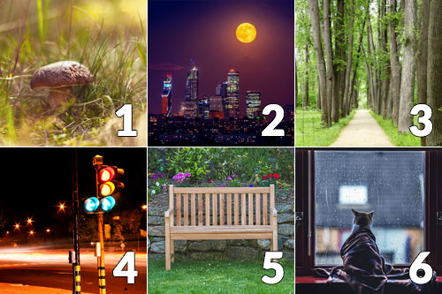 تست شخصیت شناسی: با انتخاب تصویر مورد علاقه خود بفهمید در هفته پیش رو چه اتفاقی در انتظتر شماست!