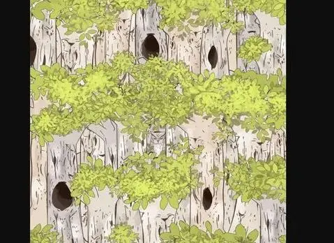 بازی فکری : اگر چشم عقابی دارید، جغد روی این درخت را در ۸ ثانیه پیدا کنید