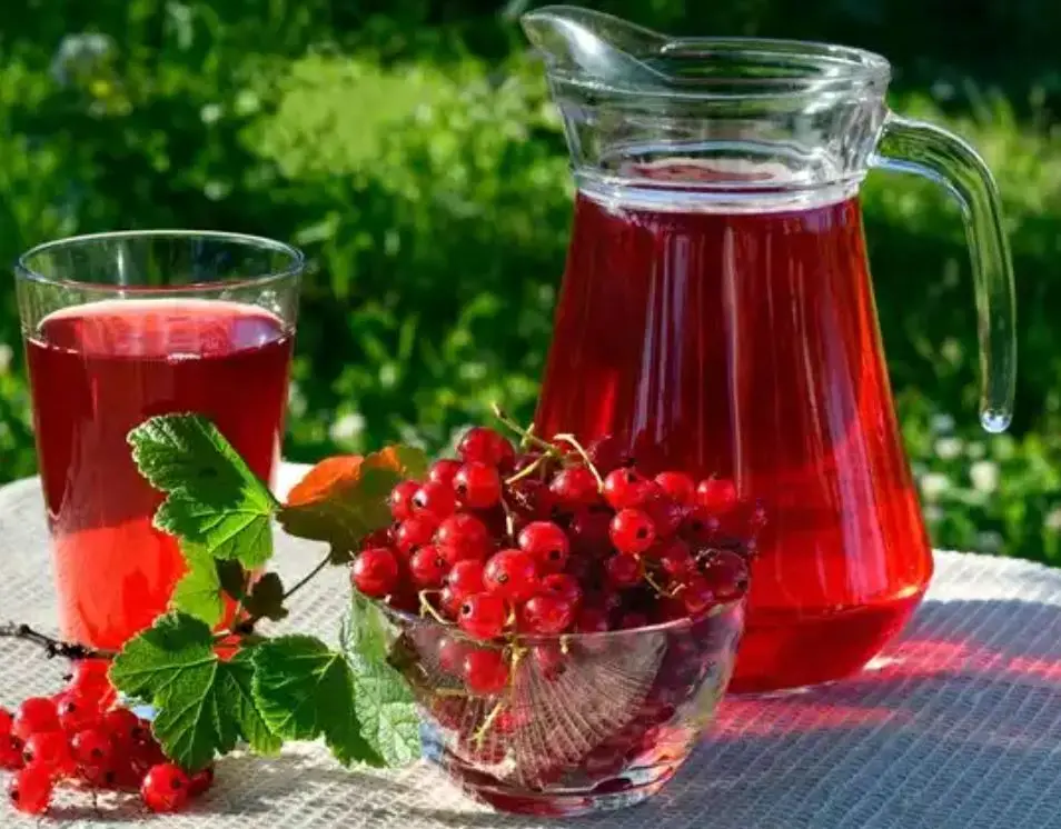 تضمین سلامت دیابتی ها با مصرف روزانه این دمنوش