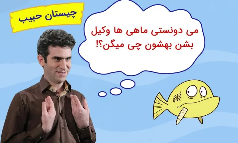 چیستان روز | می دونستی ماهی ها وکیل بشن بهشون چی میگن؟