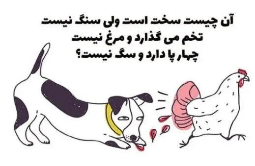 چیستان روز : سفته؛ اما سنگ نیست؛ تخم می‌گذاره اما مرغ نیست و 4 پا دارد اما سگ نیست؟