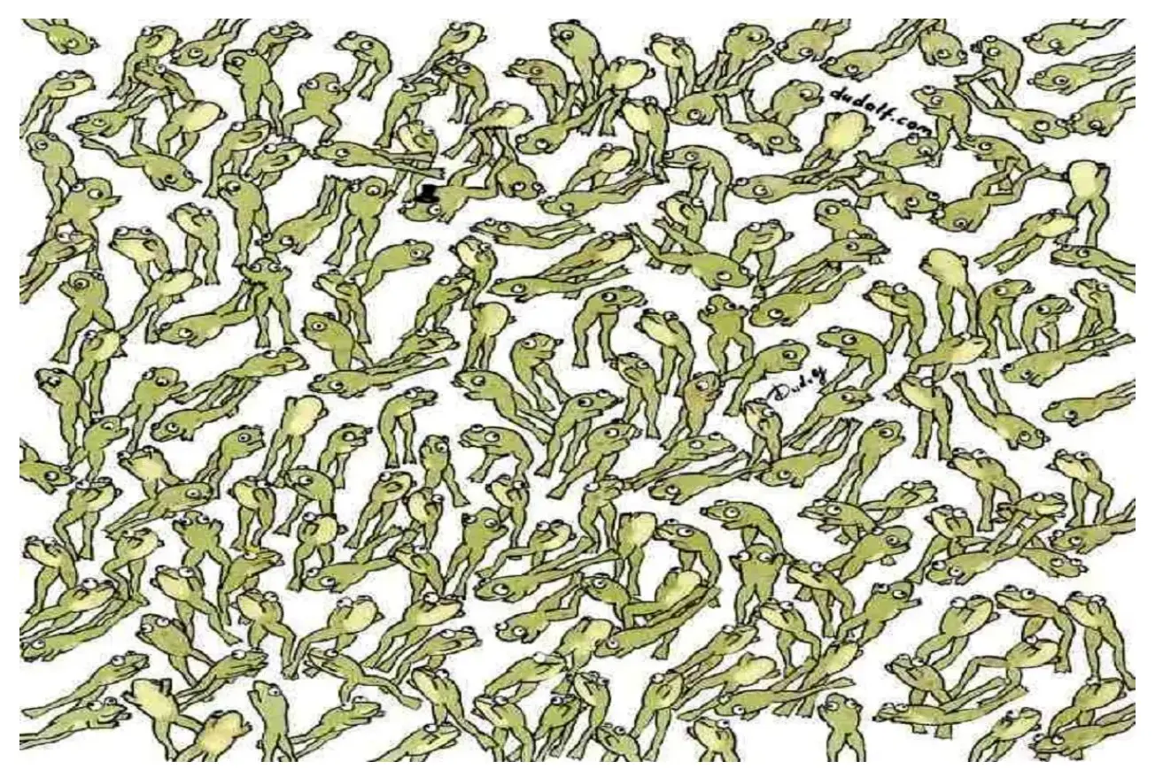 بازی فکری: فقط ۳ درصد آدما تونستن قورباغه ای که در حال پرش نیستو  پیدا کنند!