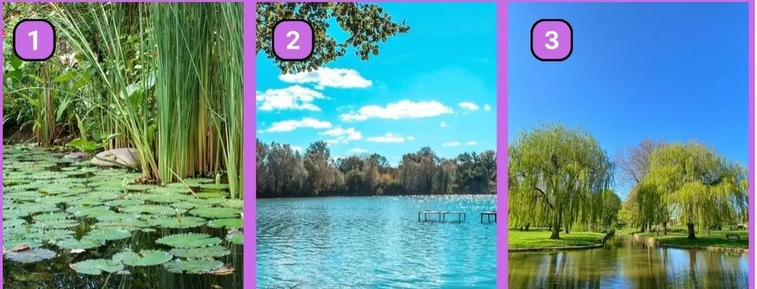 تست شخصیت شناسی | آدم تنبل و بی مصرفی هستی یا همه کاراتو خودت میکنی؟ یک منظره انتخاب کن