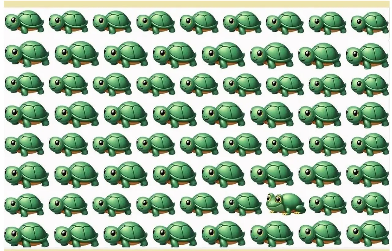 بازی فکری : اگر در کمتر از ۵ ثانیه قورباغه را بین لاک‌پشت‌ها پیدا کنید، بینایی شما ۲۰/۲۰ است