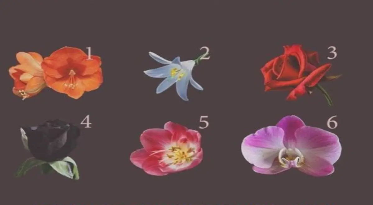 تست شخصیت شناسی | با انجام این تست تمام احساسات شریک عاطفیت نسبت به خودتو متوجه میشی