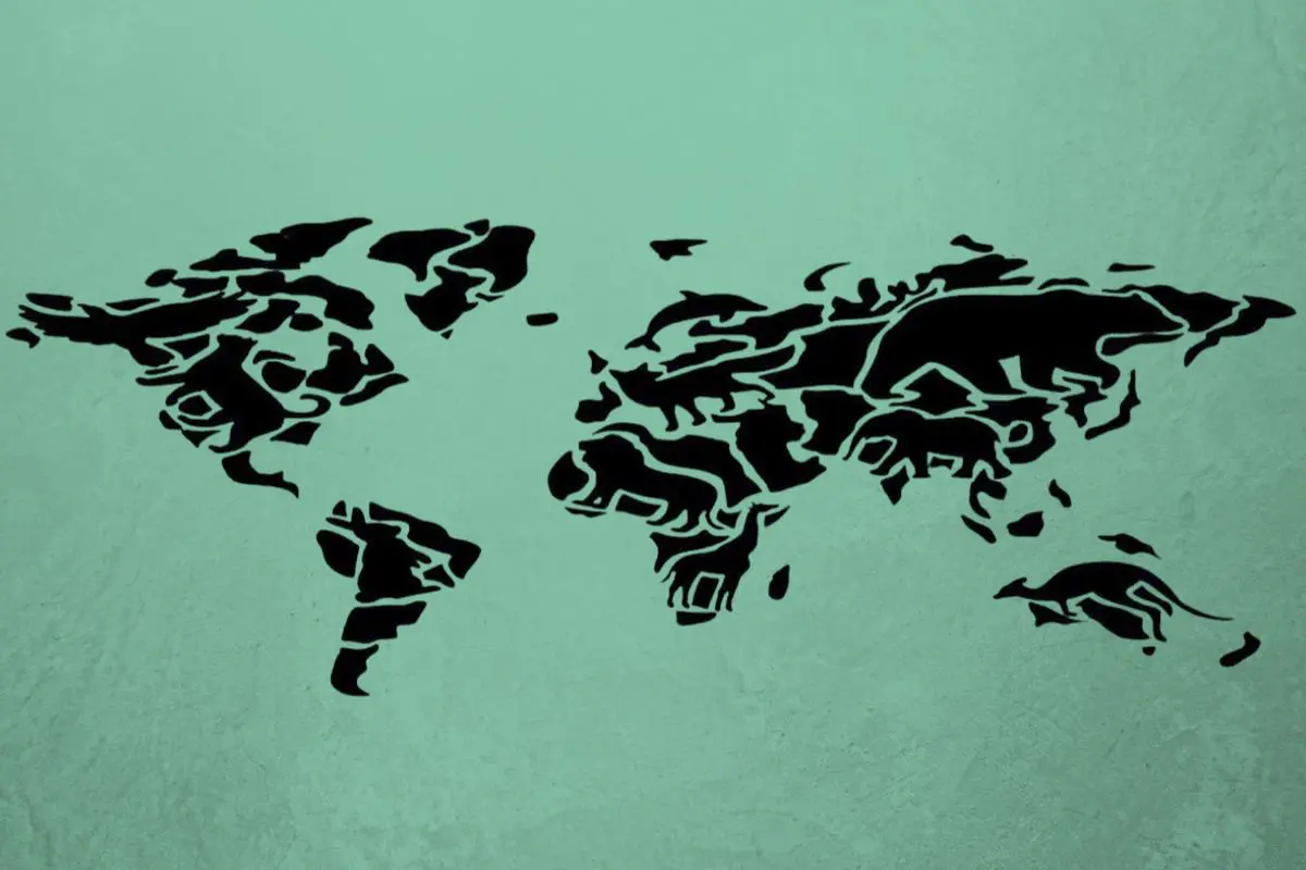 تست شخصیت شناسی | آدم آروم ، عصبی، دروغگو یا شجاع هستید؟ بگو اول چی دیدی؟