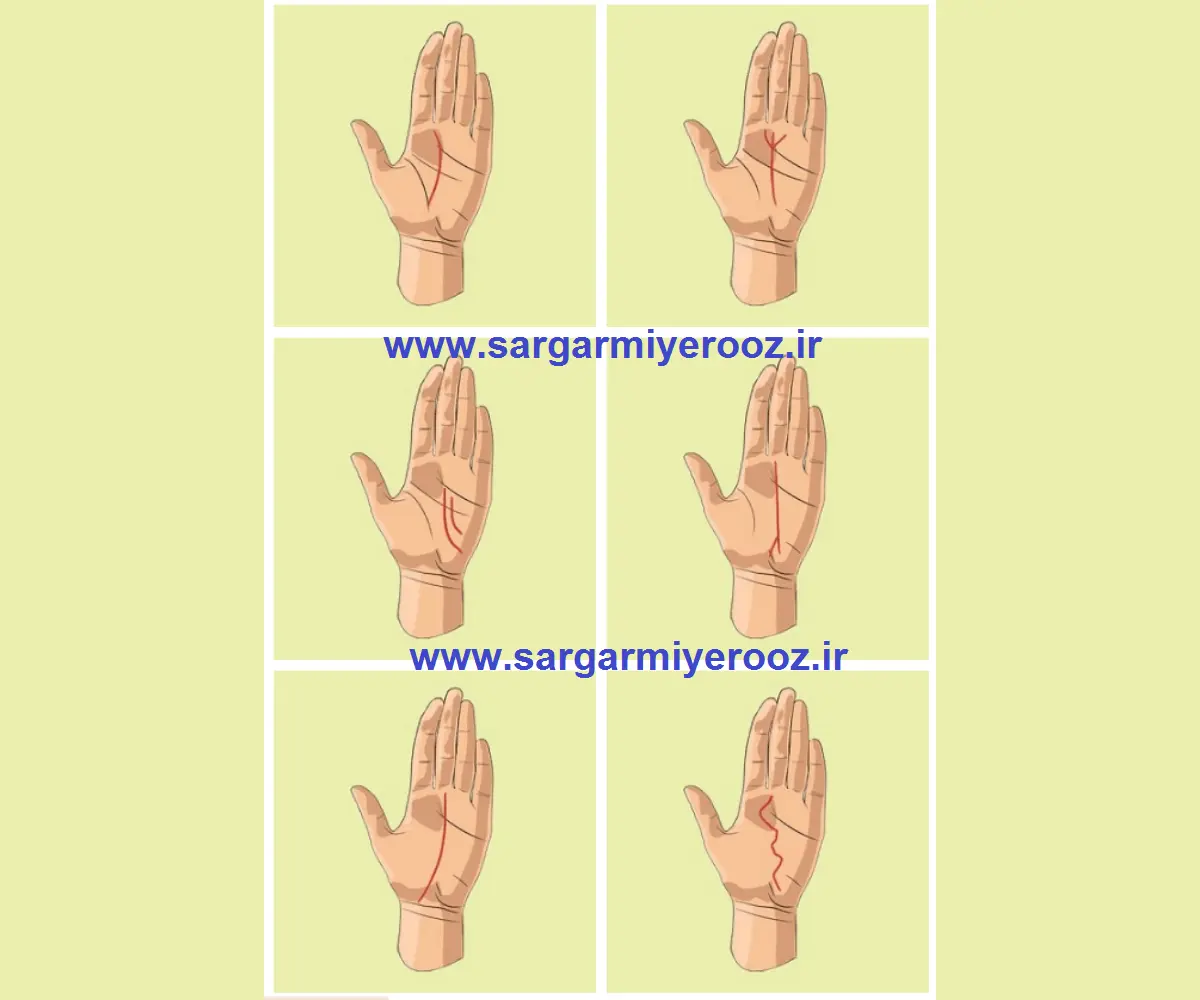 خط سرنوشت دست خود را ببینید و رازهای مهمی را کشف کنید | کف بینی دقیق