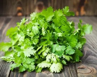 درمان دیابت با گشنیز | خواص شگفت‌انگیز این سبزی معطر برای کاهش قند خون