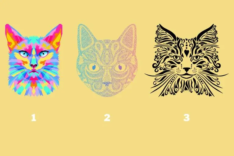 تست شخصیت شناسی | یکی از گربه هارو انتخاب کن تا بگم عشقت سخت یا آسون بهت اعتماد میکنه