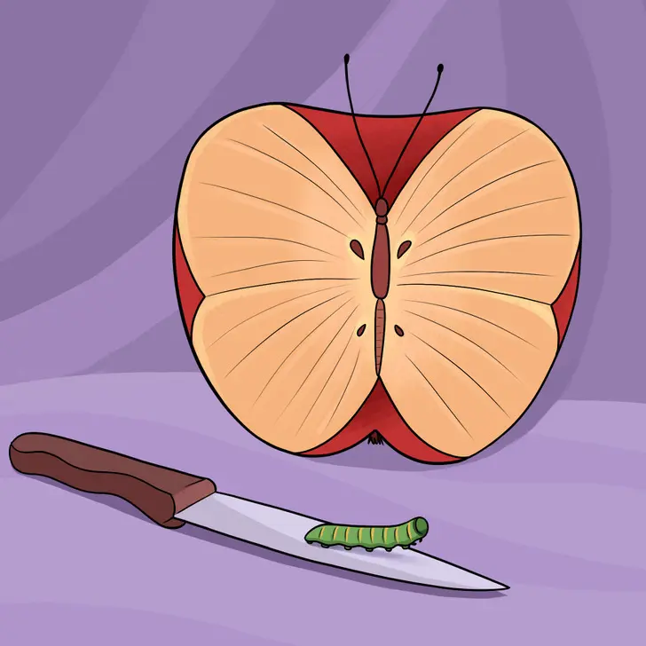 تست شخصیت شناسی | بزرگترین ترست تو زندگی چیه؟ | این تست میتونه کمکت کنه