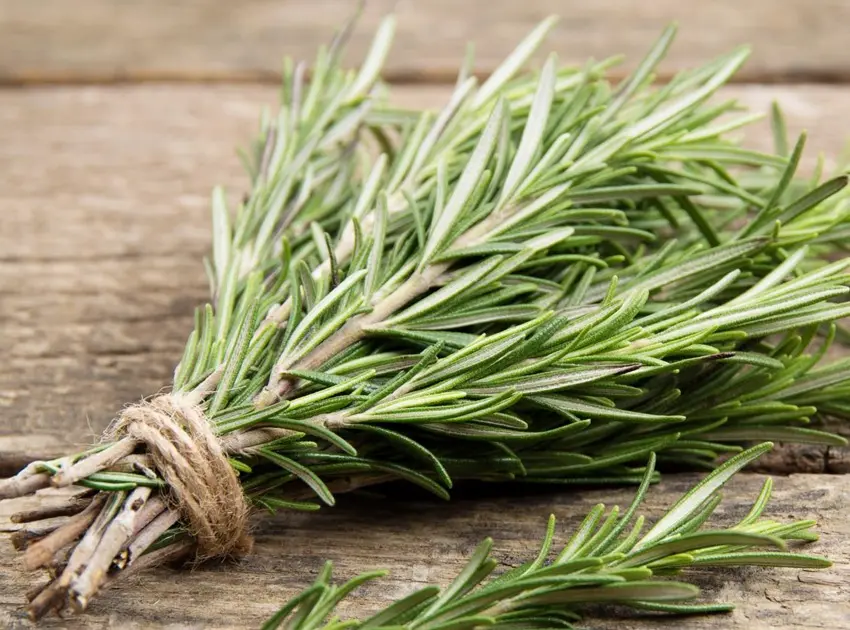 با این گیاه شگفت‌انگیز و باورنکردنی لاغر شو