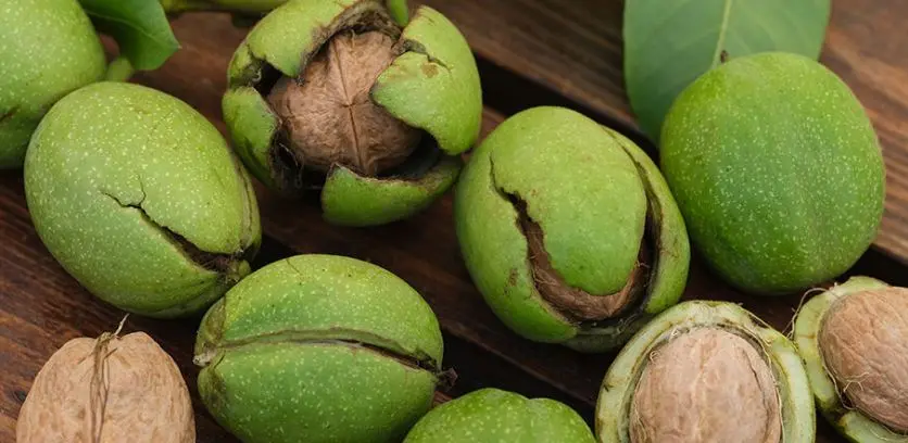 دیگه هیچوقت پوست گردو رو دور نریزید! عفونت‌زدایی طبیعی بدن با پوست گردو