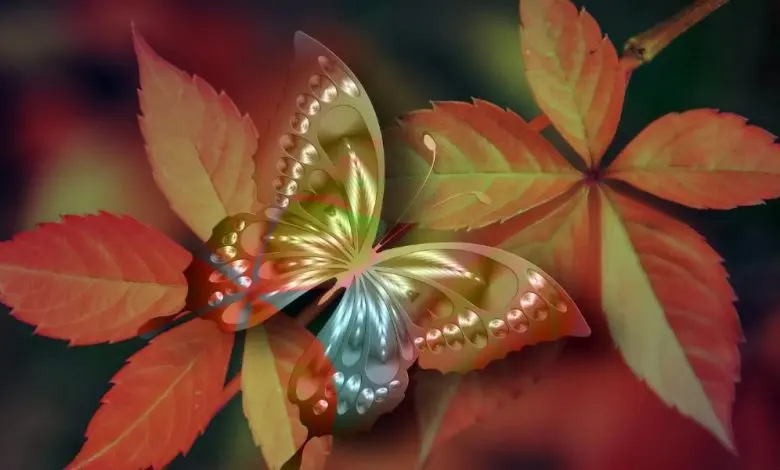  تست شخصیت شناسی | این تست رو انجام بده تا بگم از زندگیت راضی هستی یا بریدی