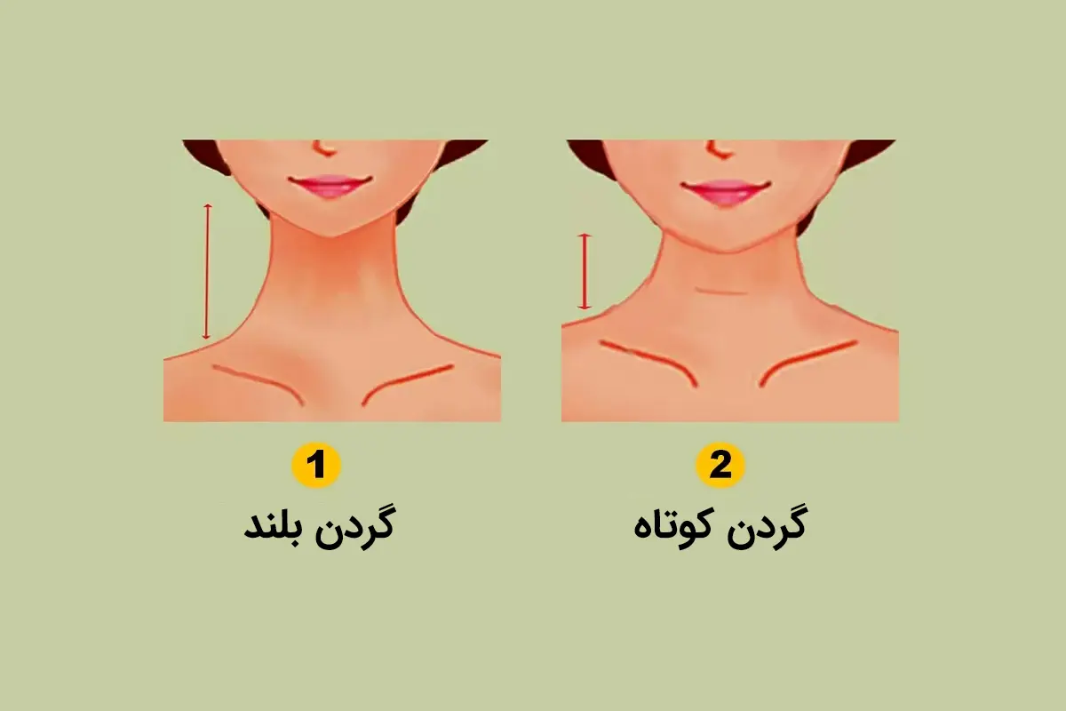 تست شخصیت شناسی | اگر میخوای شریک عاطفی یا دوستت رو بهتر بشناسی فقط کافیه به طول گردن اون دقت کنی
