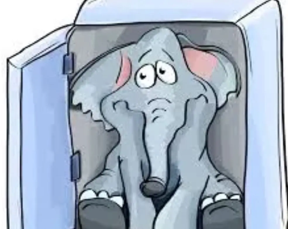 تست هوش |  اگه باهوشی سریع بگو، چگونه یک فیل را داخل یخچال جا می کنی!؟