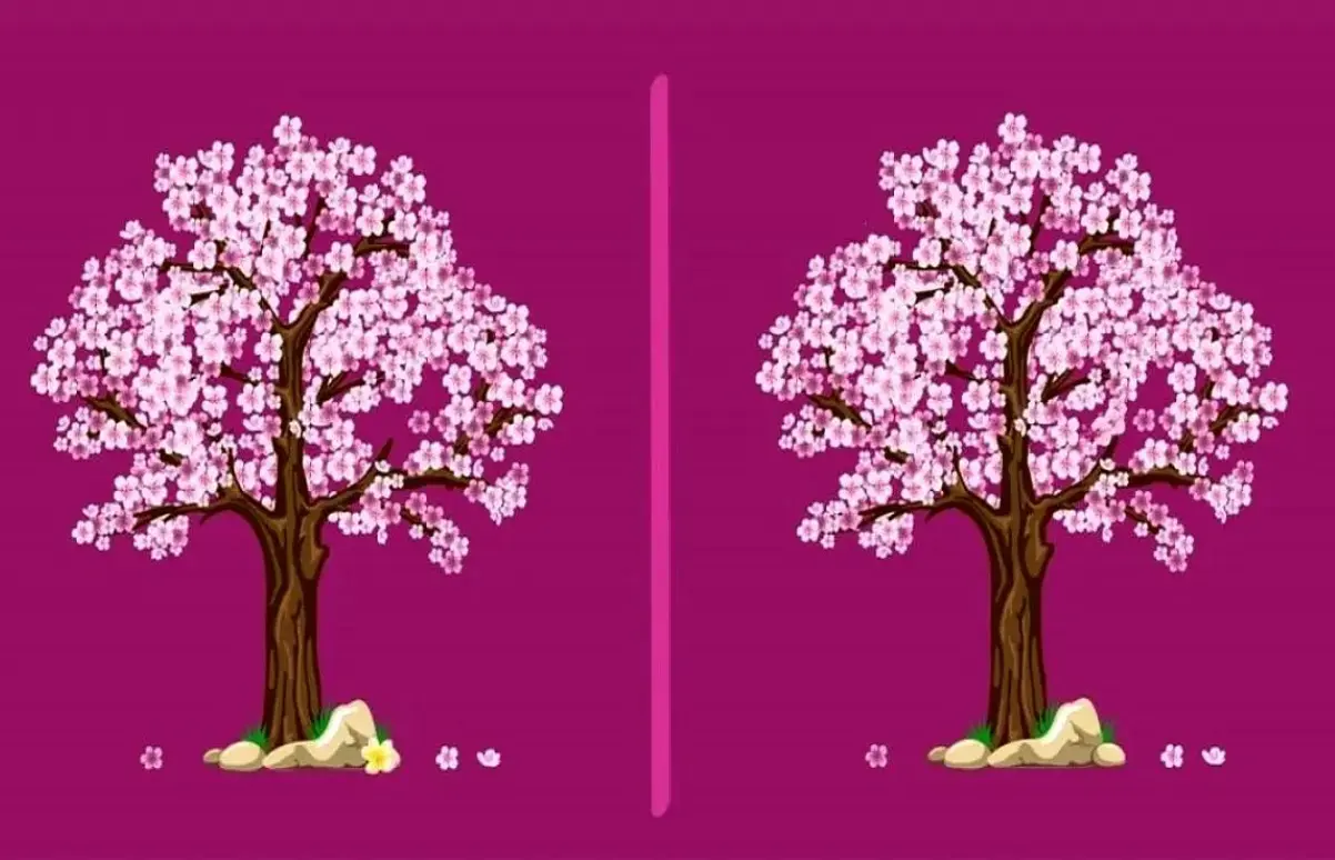 بازی فکری : این چالش ژاپنی اینترنت را تسخیر کرد؛ فقط تیزبین‌ها می‌توانند در ۷ ثانیه تفاوت‌های درخت گیلاس را پیدا کنند