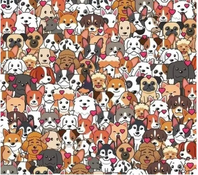  بازی فکری : فقط نابغه‌ها می‌توانند گربه‌ای را که در ۵ ثانیه بین سگ‌ها پنهان شده پیدا کنند