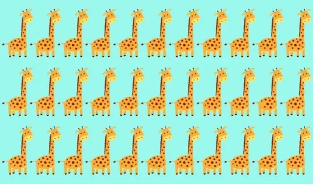 بازی فکری:  فقط نابغه‌ها می‌توانند زرافه متفاوت را در تصویر در عرض ۶ ثانیه پیدا کنند!