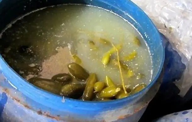 لایه سفید آب خیارشور فله ای مرگبار است؟