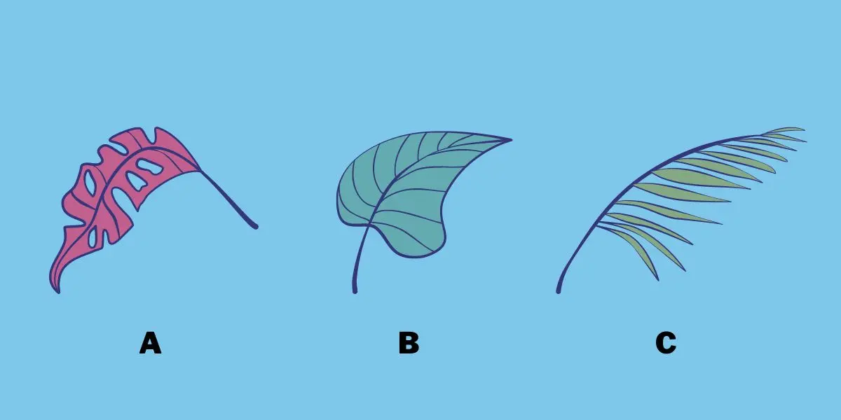 تست شخصیت شناسی | یک برگ انتخاب کن تا چیزایی از بخش روشن وجودت بگم که خودتم بمونی