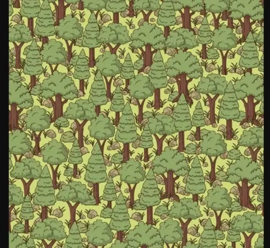 بازی فکری : فقط کسانیکه چشمان عقابی دارند جوجه تیغی را در ۵ ثانیه پیدا می کنند!