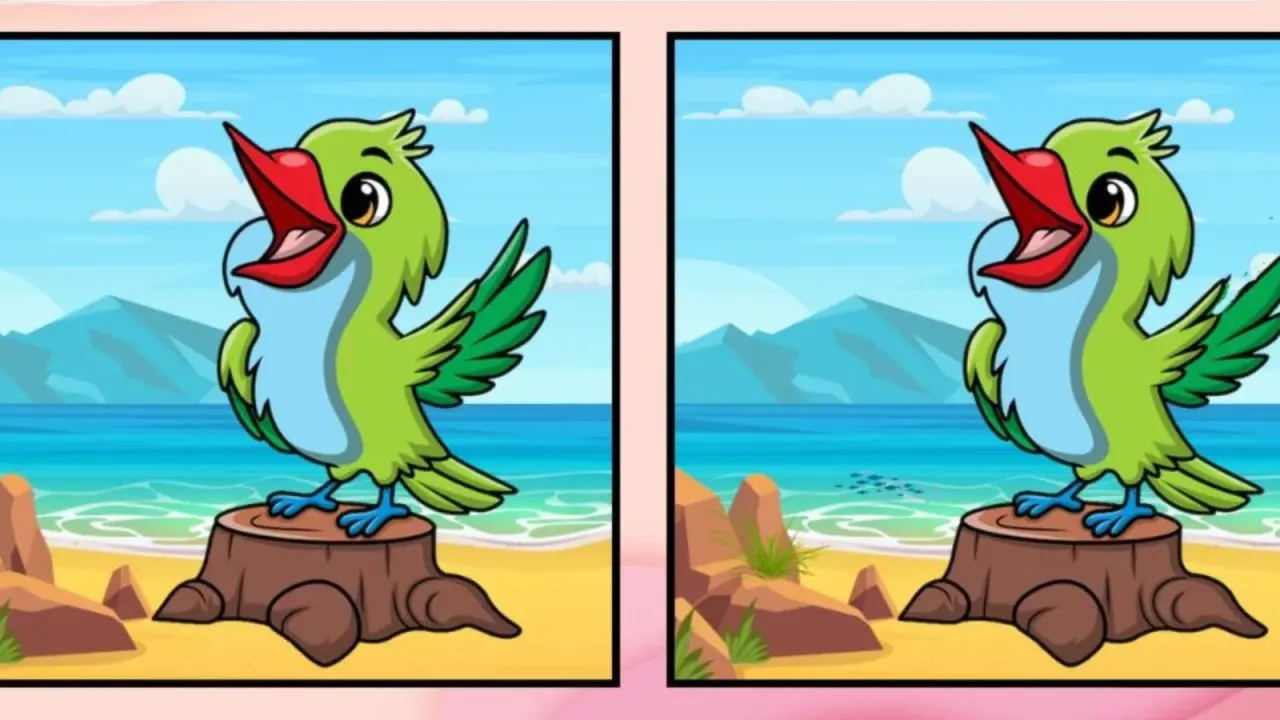 بازی فکری : اگه چشمهات مثل عقابه می‌توانید ۳ تفاوت را در ۱۲ ثانیه پیدا کنید