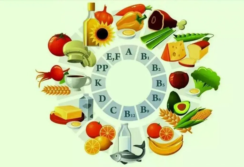 
خانم ها از این ویتامین ها غافل نشوید | ویتامین های ضروری برای خانم ها اگر میخواهید جوان بمانید