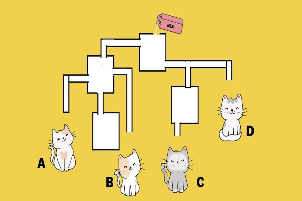 تست هوش | به پیشی کمک کن آب بخوره و هوشتم بسنج