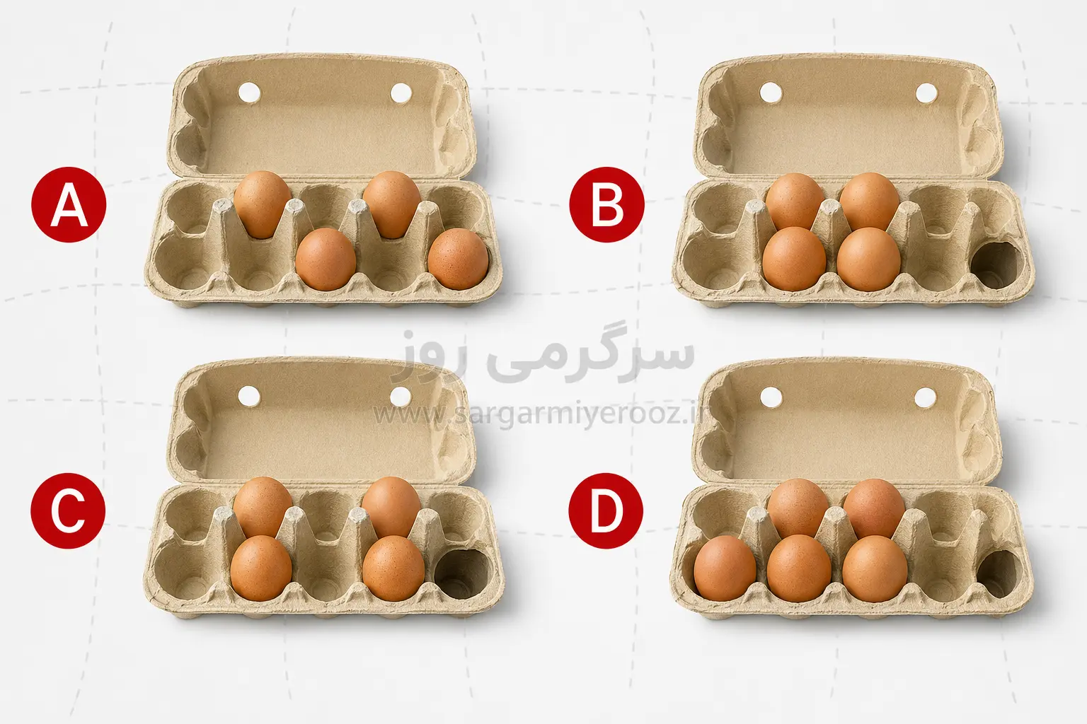 تست شخصیت شناسی | خم‌مرغ‌ها را مرتب می‌چینی یا متفاوت؟ | نتیجه‌اش عجیب‌تر از چیزی است که فکر می‌کنی