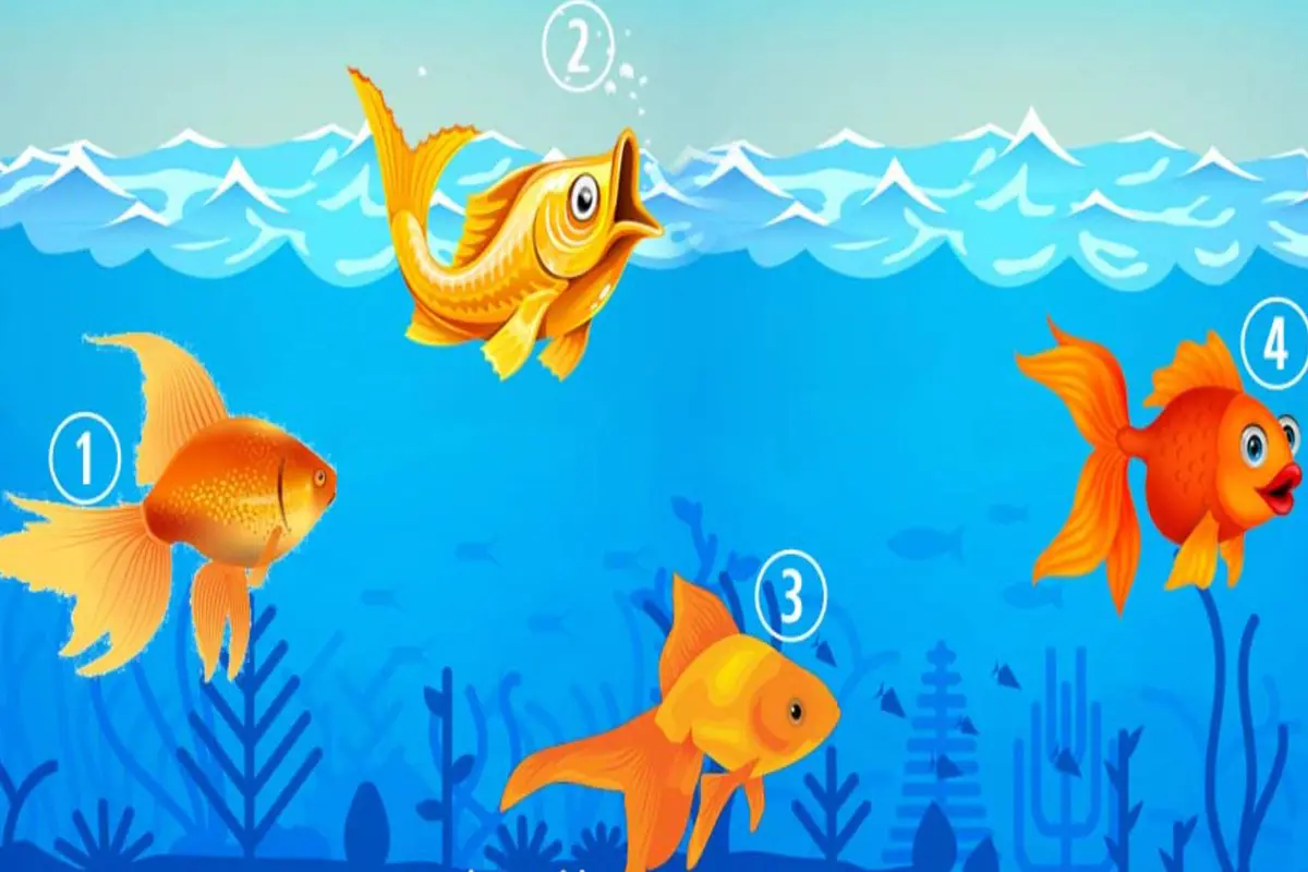 تست شخصیت شناسی | یک ماهی انتخاب کن تا بگم به کدوم آرزوت میرسی