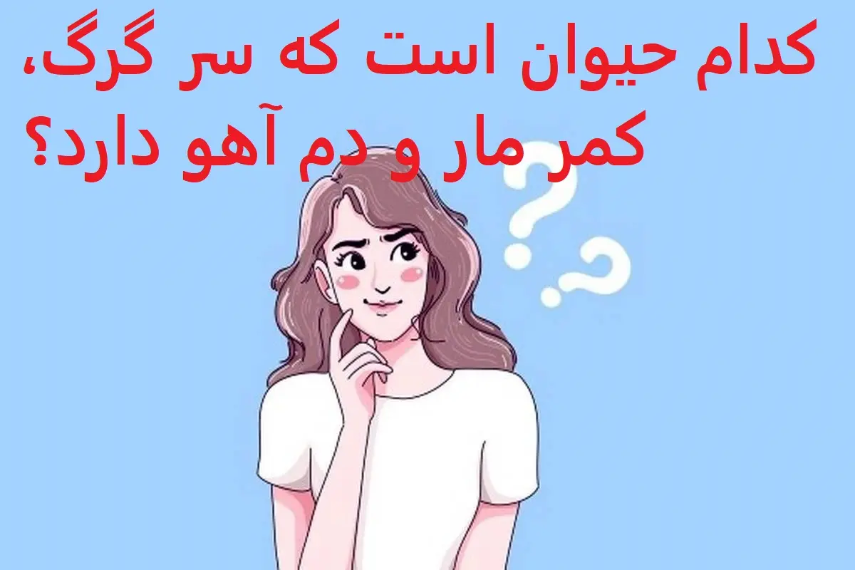 چیستان روز :  کدام حیوان است که سر گرگ، کمر مار و دم آهو دارد؟ 