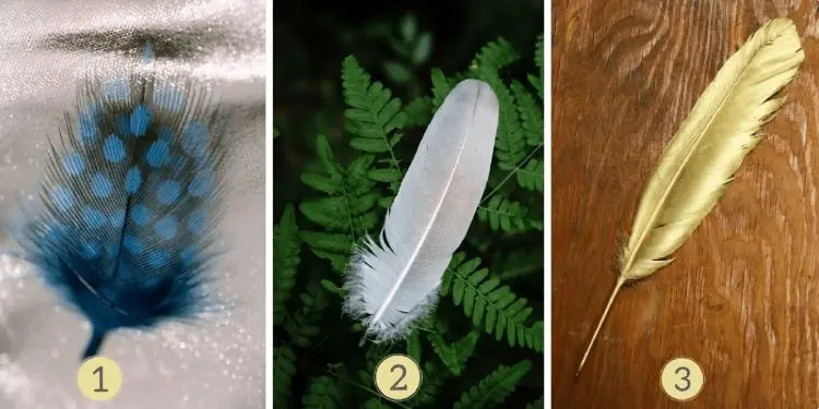 تست شخصیت شناسی: آیا شما اهل مهمانی هستید یا تنها؟ یکی از سه پر را انتخاب کنید تا اسرار طبیعت شاد و سرزنده خود را آشکار کنید!