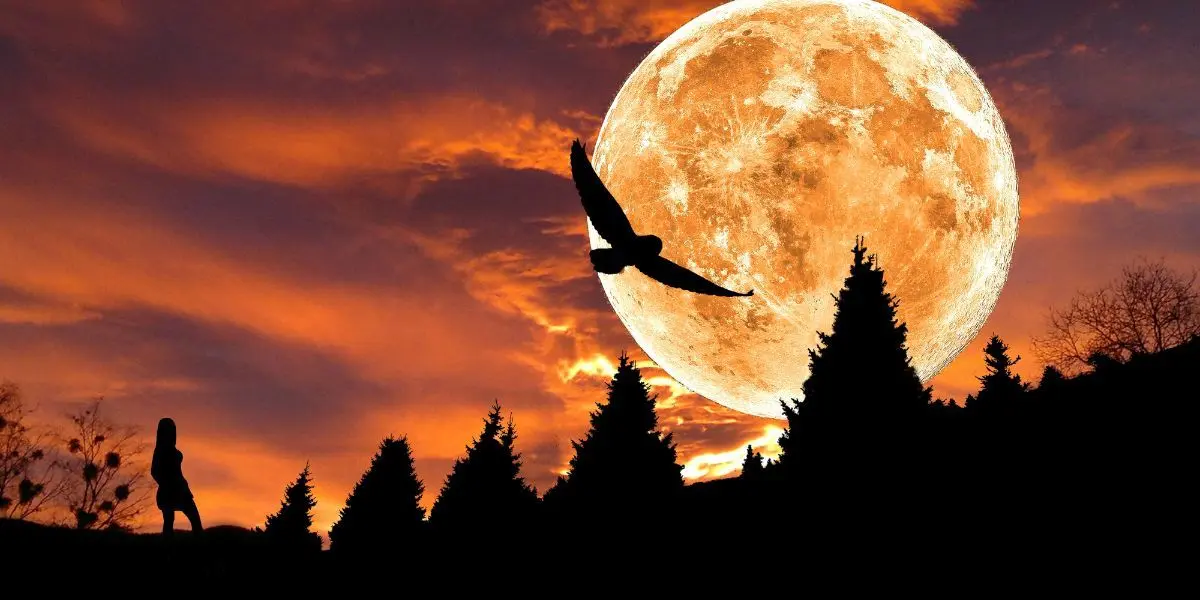 تست شخصیت شناسی | میخوای بزرگترین ضعفت تو روابط عاطفی رو بدونی؟ | این تست رو انجام بده