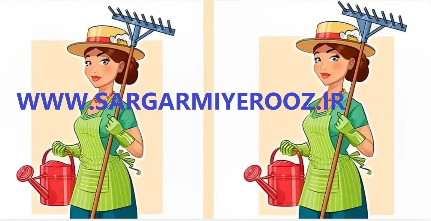 اگه فکر میکنی زرنگی تو 11 ثانیه 3 اختلاف عکس هارو پیدا کن | تست هوش