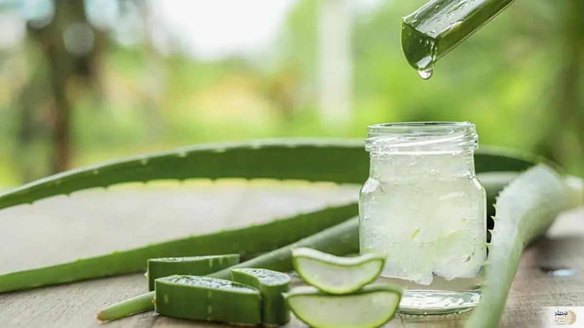 اگر پوستی همچون شیشه می خواهید بخوانید ؛ پوست خود را به این گیاه بسپارید

