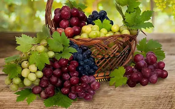  با این میوه ضد آلزایمر لاغر شوید 