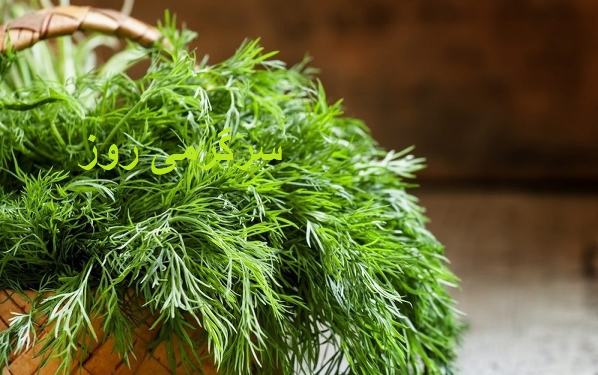 خواص یک سبزی که برای همه چیز مفید است!