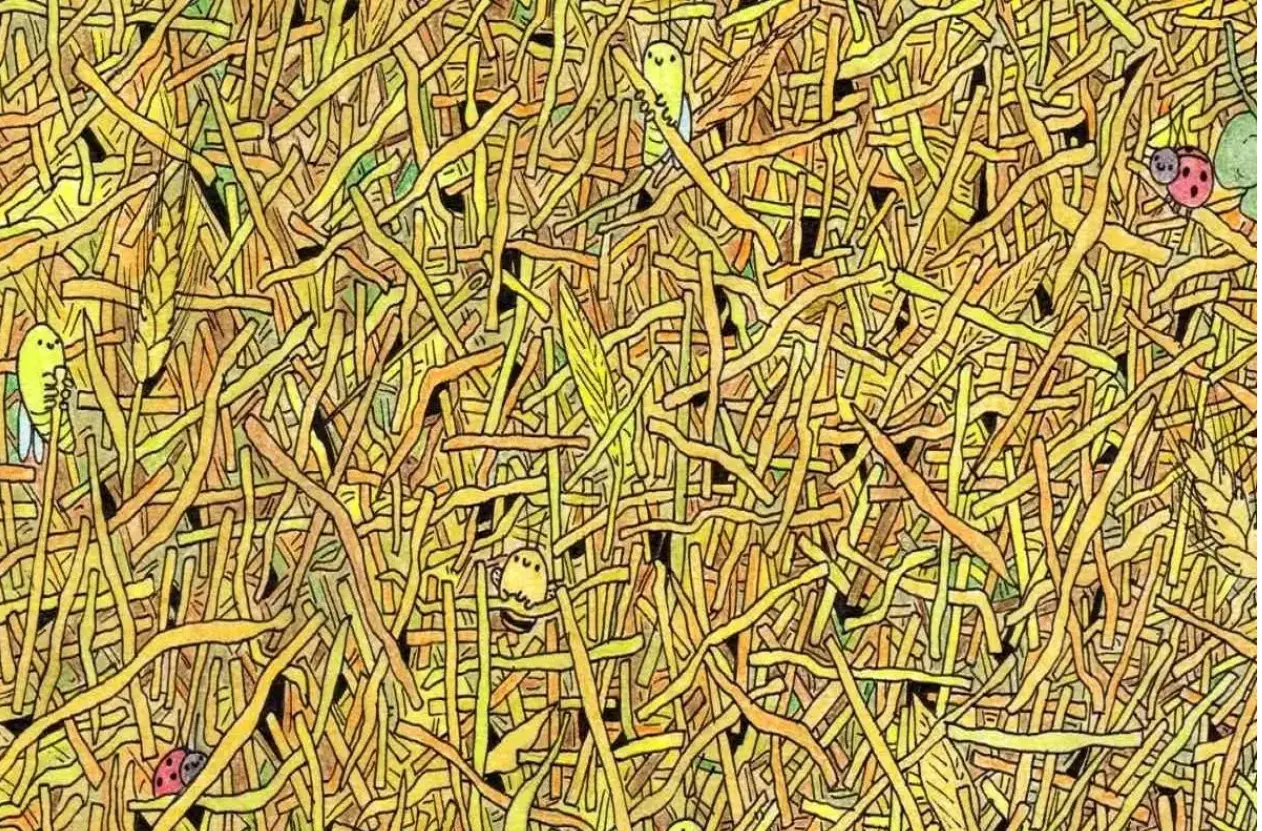 بازی فکری : تا حالا کسی نتونسته سوزن و تو انبار کاه پیداکنه،تو میتونی؟