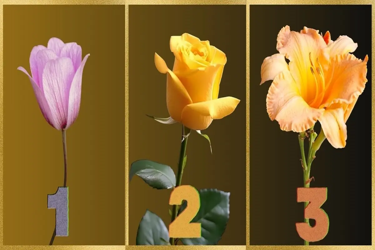 تست شخصیت شناسی | چقدر تو عشق وفاداری؟ یک گل انتخاب کن تا بگم