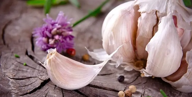 برای 100 برابر شدن انرژی روزانه از این صیفی سفید بخورید + قاتل فشا رخون و پالایش سموم بدن در 10 دقیقه