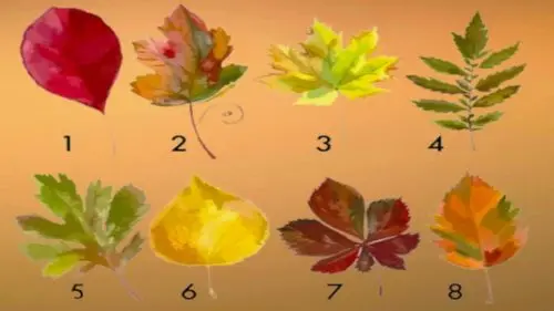 تست شخصیت شناسی | یکی از برگارو انتخاب کن تا بگم تو کارات چقدر جدی یا سهل انگاری