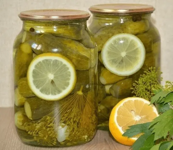 طرز تهیه خیارشور تخمیری ترد و خانگی در کمتر از نیم ساعت