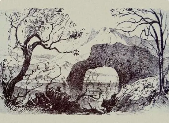 بازی فکری : فقط اونایی که دید خلبانی دارن می توانند تمام 10 حیوان را پیدا کنند!