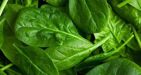  روشی که آهن بدن را 200 برابر افزایش می دهد و بیماری کم خونی را ریشه کن می کند 