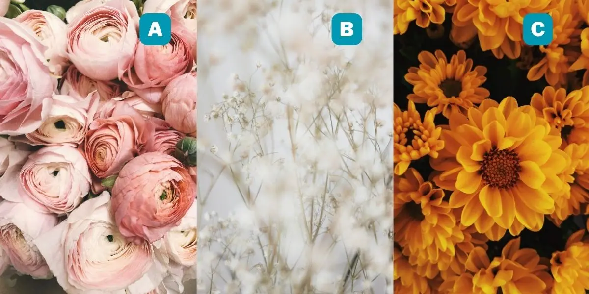 تست شخصیت شناسی | یک گل انتخاب کن تا بگم چقدر از خود راضی هستی