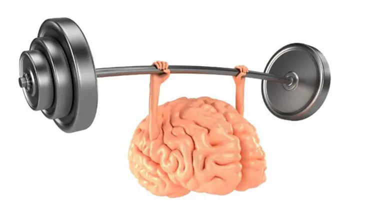  می خواهید یک حافظه قوی داشته باشید | با این راهکارها حافظه شما مثل ساعت می شود 