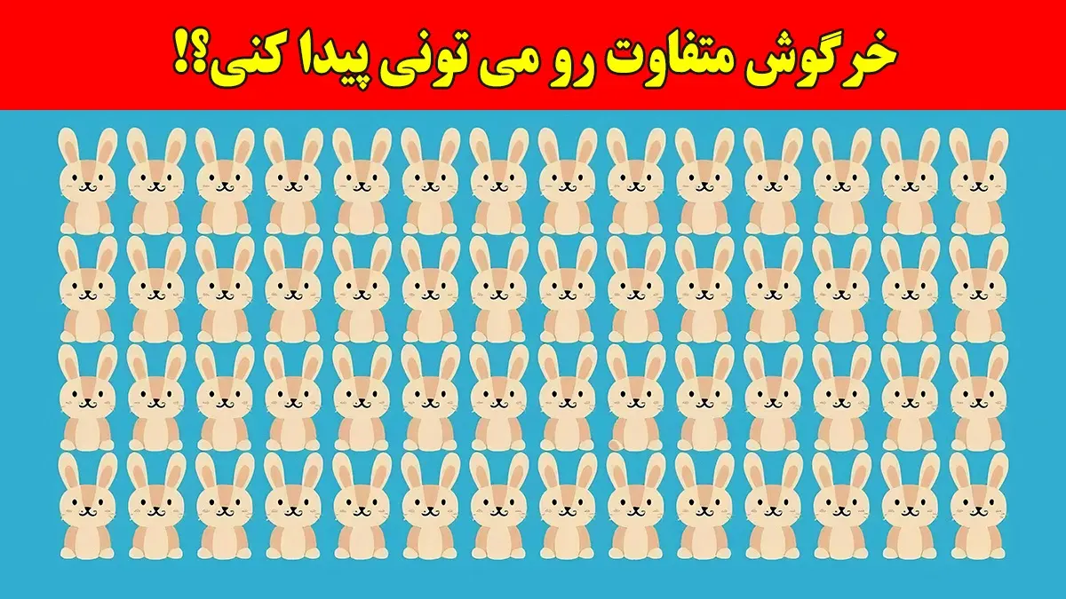 بازی فکری:همه مدعیان بینایی در پیدا کردن خرگوش متفاوت شکست خوردن، تو چطور؟!فقط 4 ثانیه وقت داری!