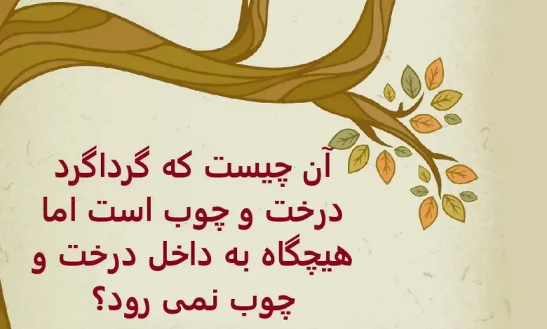 چیستان روز | آن چیست که گرداگرد درخت و چوب است اما هیچگاه به داخل درخت و چوب نمی رود؟

