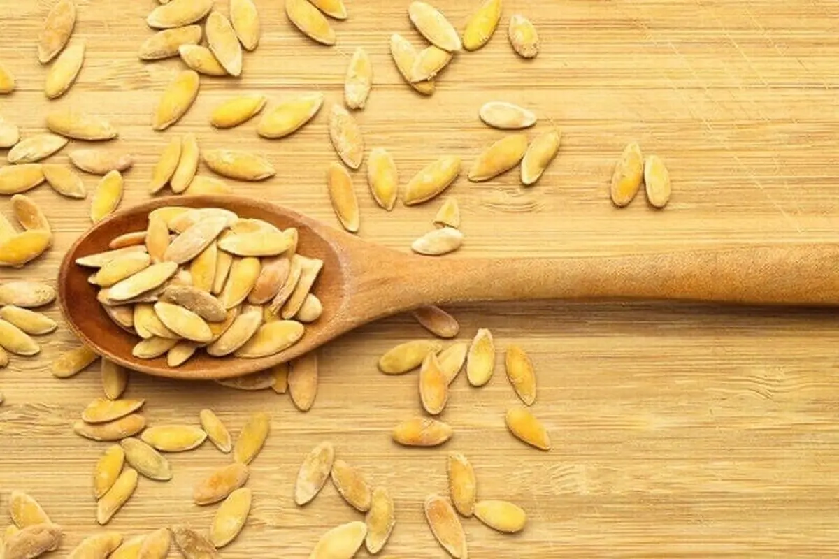 دیگه تخمه های خربزه هارو دور نریز | این تخمه ها منبع بزرگ پروتئین و خواص گوناگون هستند